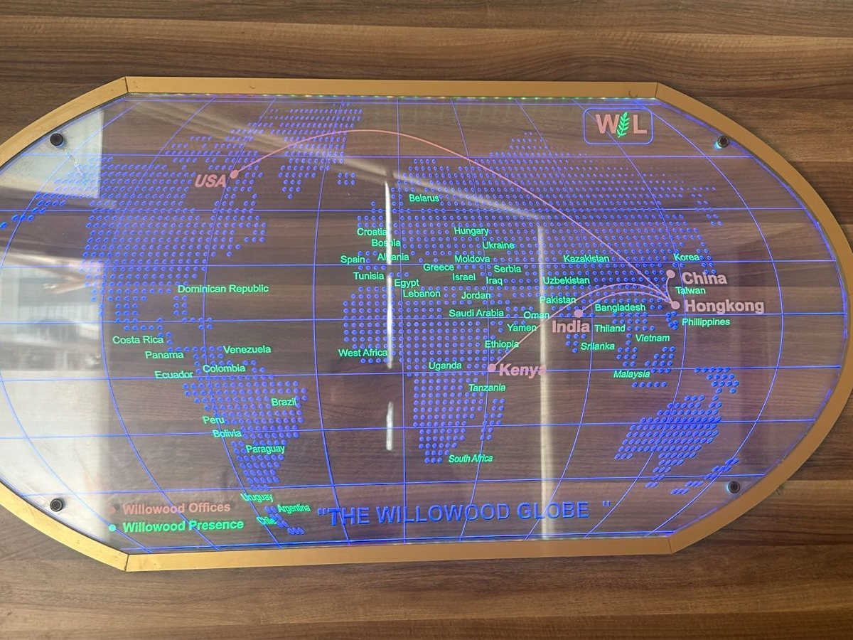 Edge-lit world map wall feature for Willowood — BluezLED